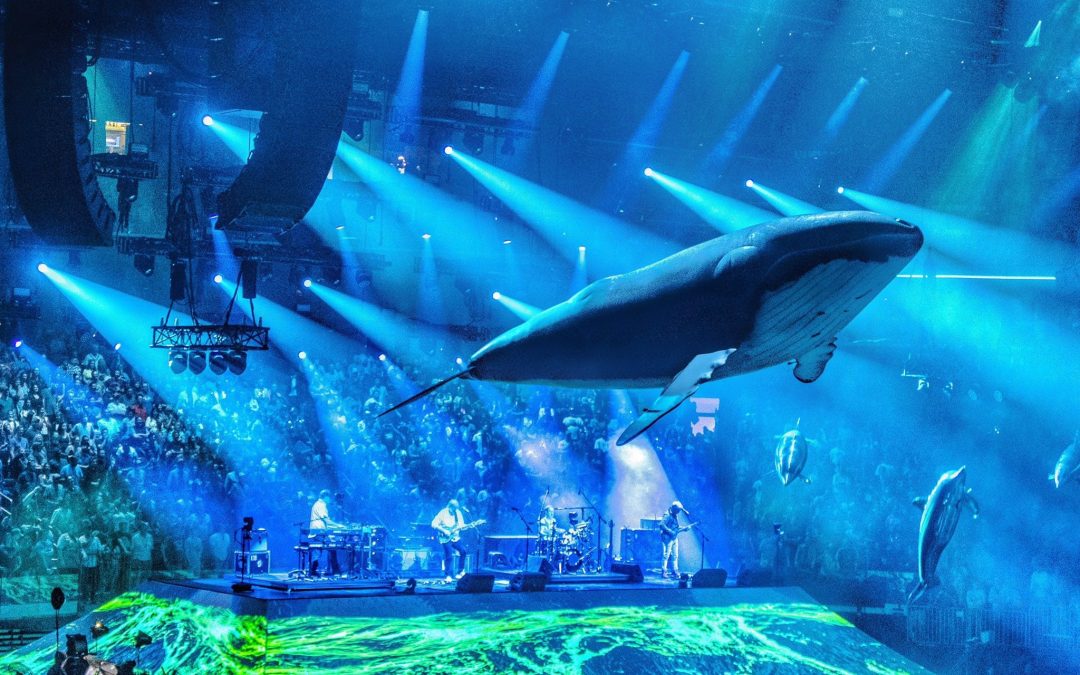 The Aquarium edition 14 – 90 minutes of live Phish